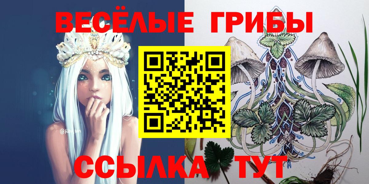 Сергиев Посад  где продают   Вход с VPN  Галлюциногенные грибы Psilocybe 